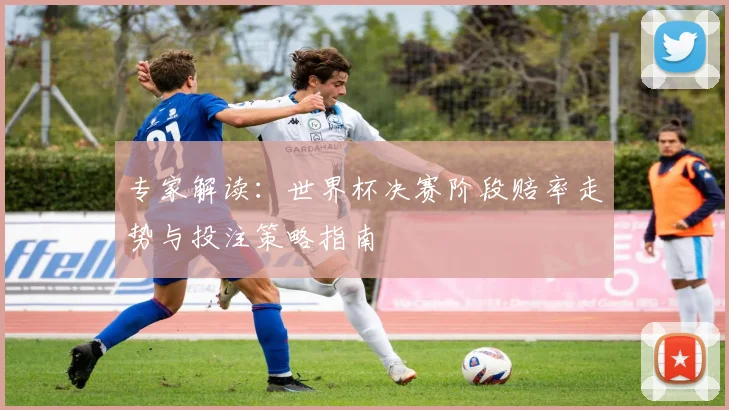 专家解读:世界杯决赛阶段赔率走势与投注策略指南